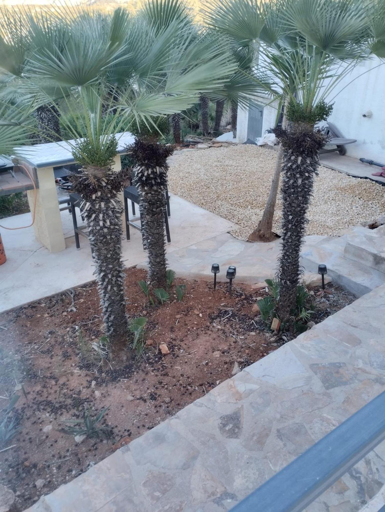 Luxe Appartement Met Tuin Benidoleig Exterior foto